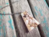 Seashell Necklace